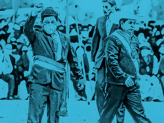 ¿Bicameralidad ahora?